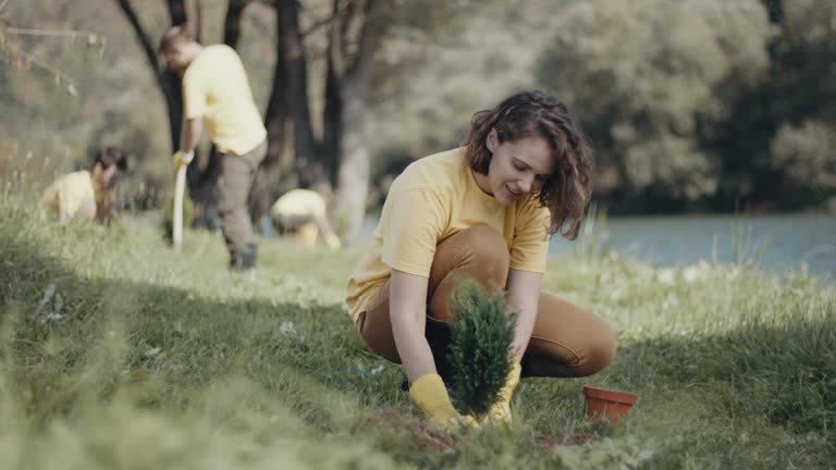 Best Artificial Turf Installation  in East Cleveland, OH