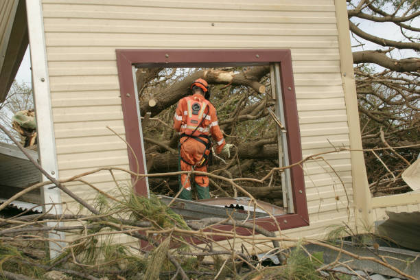 East Cleveland, OH Tree Services Company